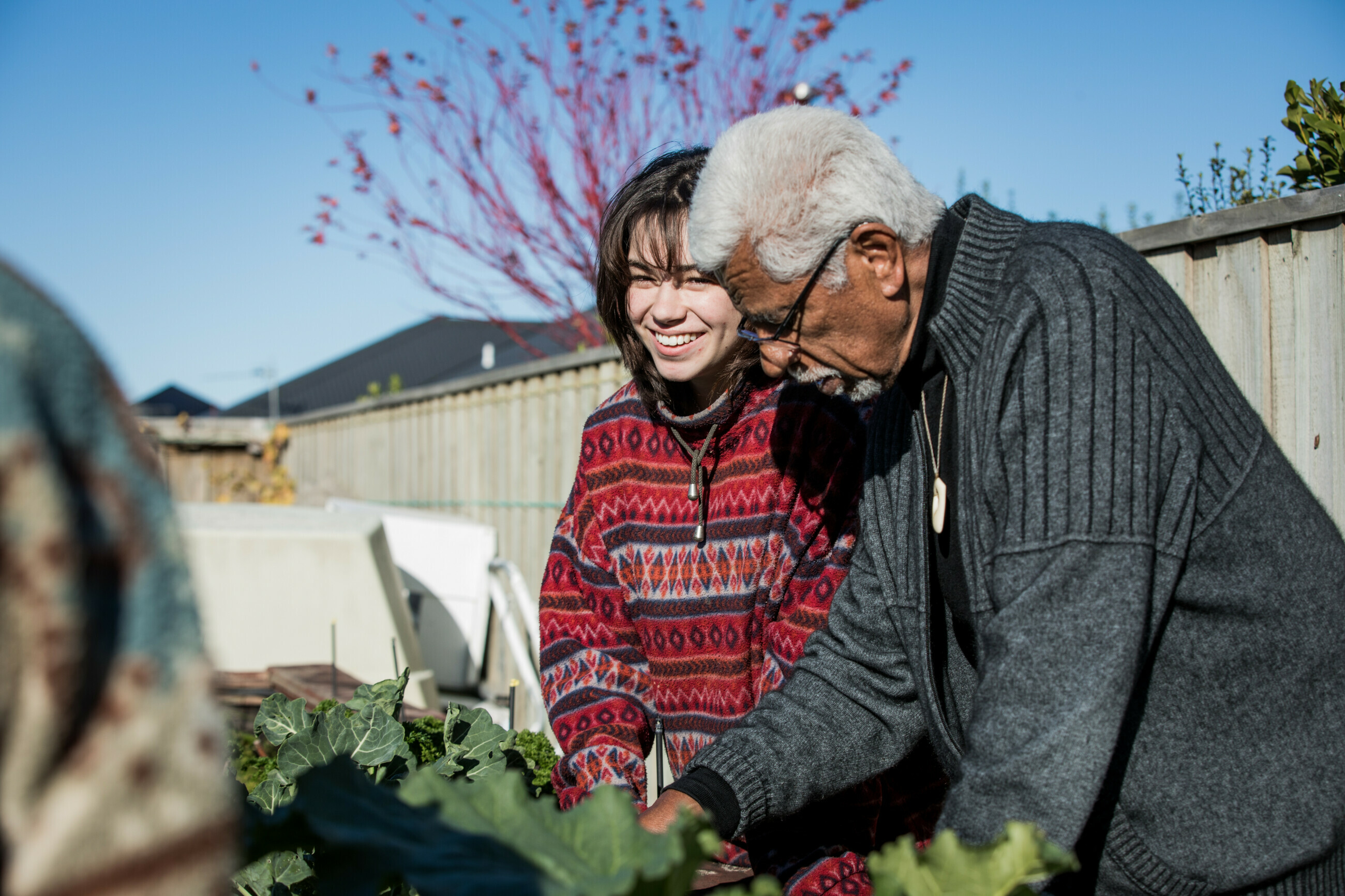 Two people tend to a vege garden under a bright blue sky on a sunny day.