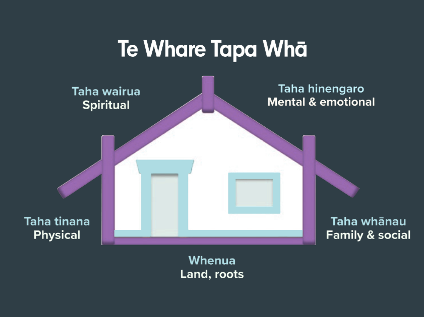 An illustration of Te Whare Tapa Wha